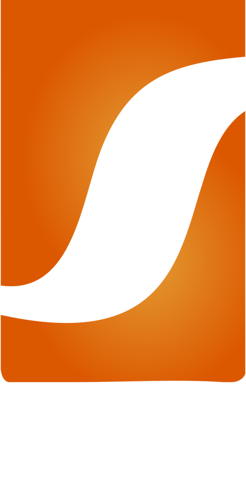 logo sala88 vertical color