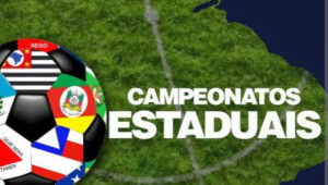 Atlético-MG, Flamengo, Inter... Conheça os campeões pelo Brasil. 18 Screenshot 20250317 230844