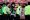 Trincao sporting