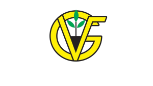MERCADO: Matheus Cunha foi apresentado pelo Manchester United 3 LOGO VIVEIRO GOIAS