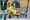 Palmeiras
