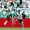 Palmeiras