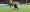 LAFC