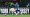 Palmeiras